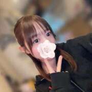 ヒメ日記 2026/04/07 17:04 投稿 らら先生 アロー