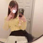 ヒメ日記 2026/04/13 07:02 投稿 らら先生 アロー