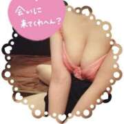 ヒメ日記 2025/04/06 16:45 投稿 森山　なぎ ホットポイントヴィラ