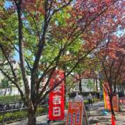 ヒメ日記 2025/10/07 16:45 投稿 森山　なぎ ホットポイントヴィラ