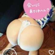 ヒメ日記 2025/12/23 16:45 投稿 森山　なぎ ホットポイントヴィラ