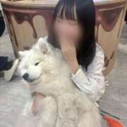 ヒメ日記 2025/02/11 21:29 投稿 まこ★超王道ロリ＆理想の彼女★ Chloe鶯谷・上野店 S級素人清楚系デリヘル