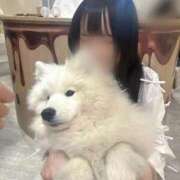 ヒメ日記 2025/02/12 21:26 投稿 まこ★超王道ロリ＆理想の彼女★ Chloe鶯谷・上野店 S級素人清楚系デリヘル