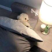 ヒメ日記 2025/03/02 23:49 投稿 まこ★超王道ロリ＆理想の彼女★ Chloe鶯谷・上野店 S級素人清楚系デリヘル