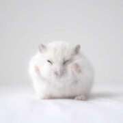 ヒメ日記 2025/06/05 19:19 投稿 まこ★超王道ロリ＆理想の彼女★ Chloe鶯谷・上野店 S級素人清楚系デリヘル