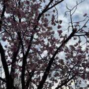 まこ★超王道ロリ＆理想の彼女★ ☔️ Chloe鶯谷・上野店 S級素人清楚系デリヘル