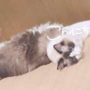 ヒメ日記 2025/01/29 12:46 投稿 のどか 福岡大野城・板付インターちゃんこ