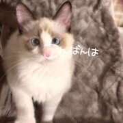 ヒメ日記 2025/01/29 22:16 投稿 のどか 福岡大野城・板付インターちゃんこ