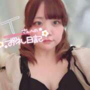 ヒメ日記 2025/02/08 09:25 投稿 のどか 福岡大野城・板付インターちゃんこ