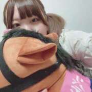 ヒメ日記 2025/03/13 09:58 投稿 のどか 福岡大野城・板付インターちゃんこ