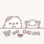 ヒメ日記 2025/03/13 10:58 投稿 のどか 福岡大野城・板付インターちゃんこ