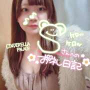 ヒメ日記 2025/03/13 23:52 投稿 のどか 福岡大野城・板付インターちゃんこ