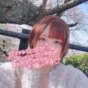 ヒメ日記 2025/04/06 21:08 投稿 のどか 福岡大野城・板付インターちゃんこ