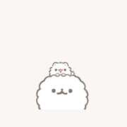 ヒメ日記 2025/04/24 02:08 投稿 のどか 福岡大野城・板付インターちゃんこ