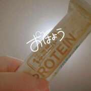 ヒメ日記 2025/04/24 07:28 投稿 のどか 福岡大野城・板付インターちゃんこ
