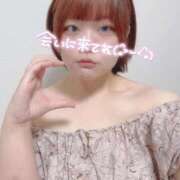 ヒメ日記 2025/04/27 11:45 投稿 のどか 福岡大野城・板付インターちゃんこ