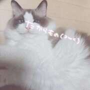 ヒメ日記 2025/05/02 04:08 投稿 のどか 福岡大野城・板付インターちゃんこ