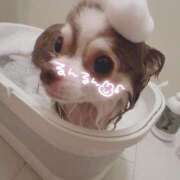 ヒメ日記 2025/05/06 10:08 投稿 のどか 福岡大野城・板付インターちゃんこ