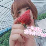 ヒメ日記 2025/05/06 17:08 投稿 のどか 福岡大野城・板付インターちゃんこ