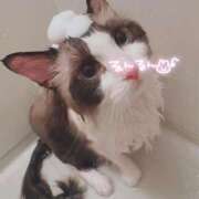 ヒメ日記 2025/05/08 11:48 投稿 のどか 福岡大野城・板付インターちゃんこ