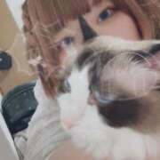 ヒメ日記 2025/05/14 18:28 投稿 のどか 福岡大野城・板付インターちゃんこ