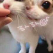 ヒメ日記 2025/06/02 09:28 投稿 のどか 福岡大野城・板付インターちゃんこ