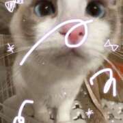 ヒメ日記 2025/06/05 15:28 投稿 のどか 福岡大野城・板付インターちゃんこ