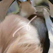 ヒメ日記 2025/06/09 18:48 投稿 のどか 福岡大野城・板付インターちゃんこ