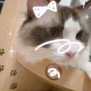 ヒメ日記 2025/06/12 14:58 投稿 のどか 福岡大野城・板付インターちゃんこ