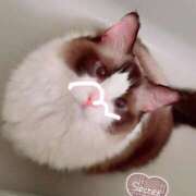 ヒメ日記 2025/06/21 19:28 投稿 のどか 福岡大野城・板付インターちゃんこ