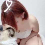 ヒメ日記 2025/09/03 19:08 投稿 のどか 福岡大野城・板付インターちゃんこ