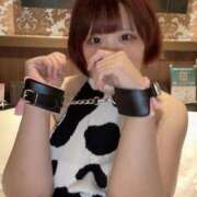 ヒメ日記 2025/09/25 12:28 投稿 のどか 福岡大野城・板付インターちゃんこ