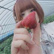 ヒメ日記 2026/01/06 14:08 投稿 のどか 福岡大野城・板付インターちゃんこ