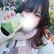 ヒメ日記 2024/12/23 15:07 投稿 ちの 池袋ぱんぷきん（シンデレラグループ）