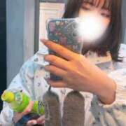 ヒメ日記 2025/03/14 18:41 投稿 ちの 池袋ぱんぷきん（シンデレラグループ）