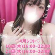 ヒメ日記 2025/04/09 02:06 投稿 ちの 池袋ぱんぷきん（シンデレラグループ）