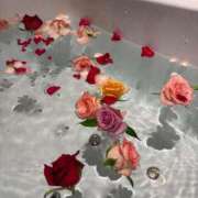 ヒメ日記 2025/09/27 20:11 投稿 ちの 池袋ぱんぷきん（シンデレラグループ）