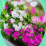 ヒメ日記 2025/04/28 17:38 投稿 ゆかり【性感】 性感エステBianca豊中店