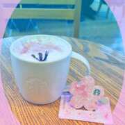 ヒメ日記 2026/03/12 03:18 投稿 ゆかり【性感】 性感エステBianca豊中店