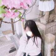 ヒメ日記 2026/07/09 11:25 投稿 おと（極上SPコース対応） LIGHT（ライト）～光が導く無限の可能性～
