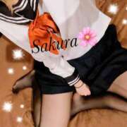 ヒメ日記 2025/02/22 20:21 投稿 さくら LIGHT（ライト）～光が導く無限の可能性～