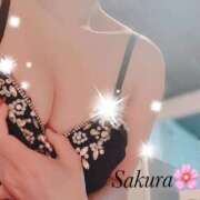 ヒメ日記 2025/03/12 21:51 投稿 さくら LIGHT（ライト）～光が導く無限の可能性～