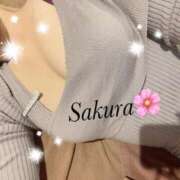 ヒメ日記 2025/03/14 16:51 投稿 さくら LIGHT（ライト）～光が導く無限の可能性～