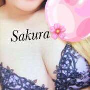 ヒメ日記 2025/03/16 16:37 投稿 さくら LIGHT（ライト）～光が導く無限の可能性～