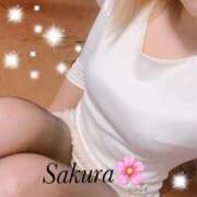 ヒメ日記 2025/03/24 16:01 投稿 さくら LIGHT（ライト）～光が導く無限の可能性～