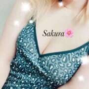 ヒメ日記 2025/08/27 21:21 投稿 さくら LIGHT（ライト）～光が導く無限の可能性～