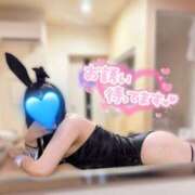 ヒメ日記 2025/04/04 07:41 投稿 もも（極上SPコース対応） LIGHT（ライト）～光が導く無限の可能性～