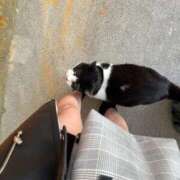 ヒメ日記 2025/02/24 10:01 投稿 みお（極上SPコース対応） LIGHT（ライト）～光が導く無限の可能性～