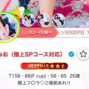 ヒメ日記 2025/03/10 11:41 投稿 みお（極上SPコース対応） LIGHT（ライト）～光が導く無限の可能性～