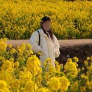 ヒメ日記 2025/04/12 18:22 投稿 りお（極上SPコース対応） LIGHT（ライト）～光が導く無限の可能性～